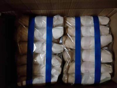 河南洛陽瀍河區(qū)杏鮑菇市場行情與批發(fā)采購指南